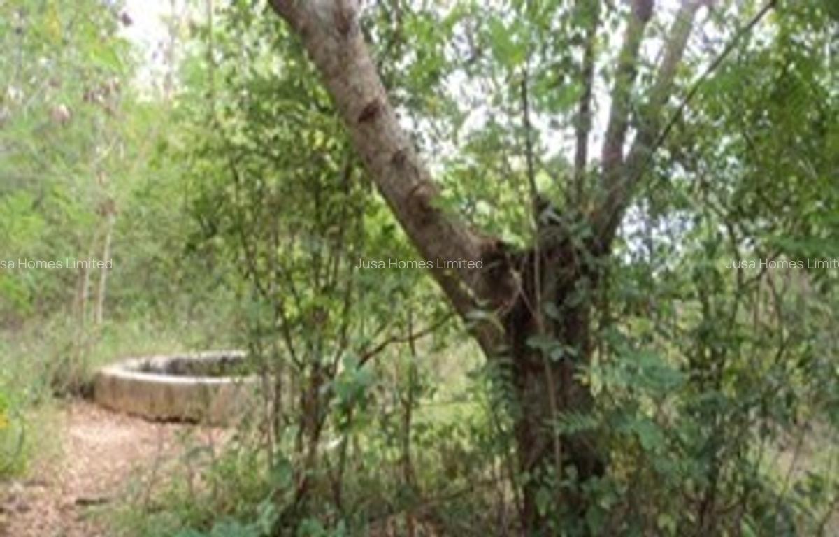 Land in Kwale County - 5