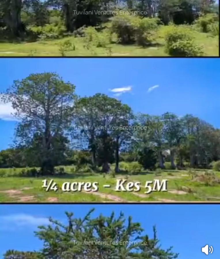 Land at Vipingo - 3