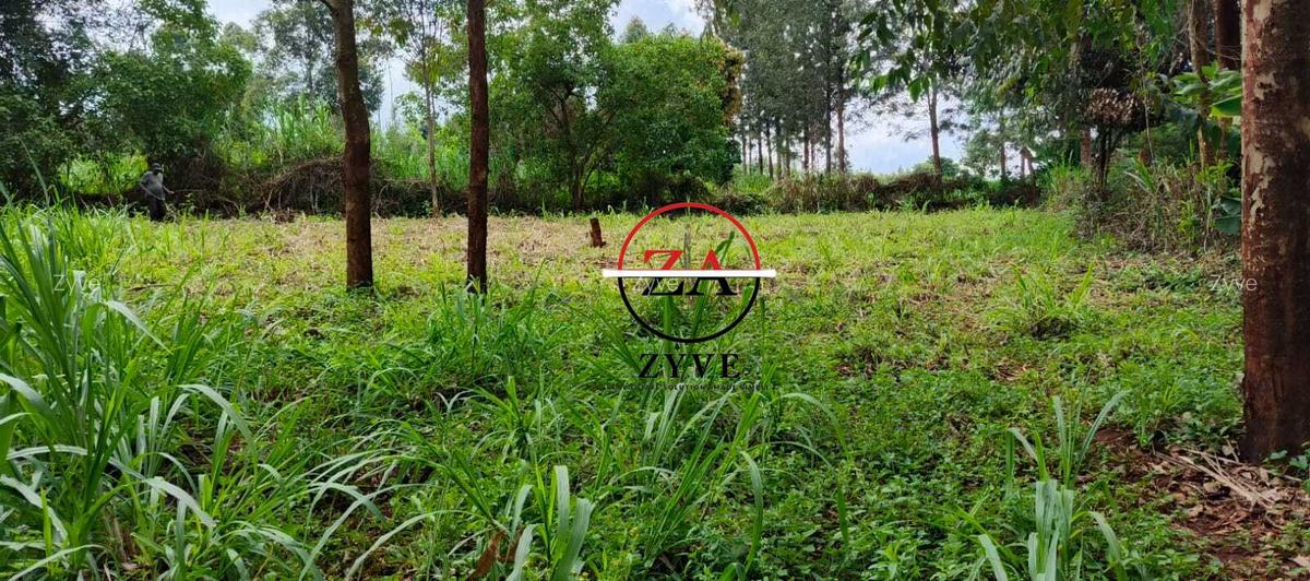 0.125 ac Land at Off Ruaka Banana Road - 12