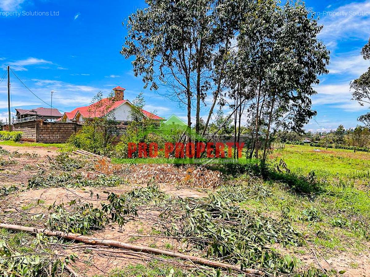 0.05 ha Residential Land in Gikambura - 4