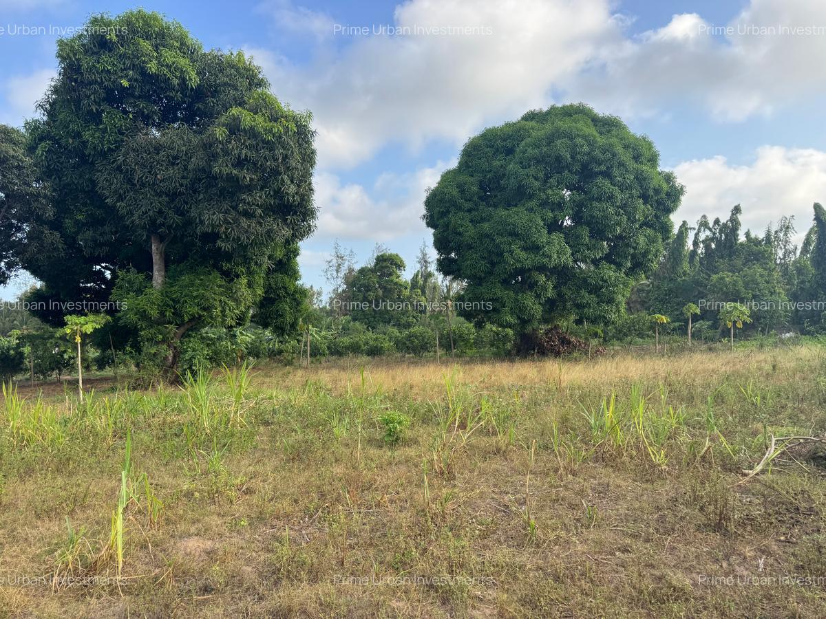 30 ac Land at Kikambala Bomani - 10