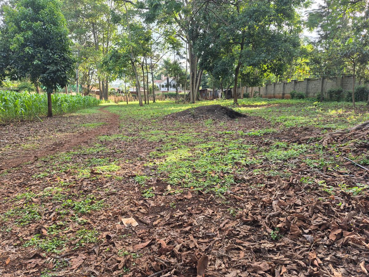 Land in Thigiri - 5