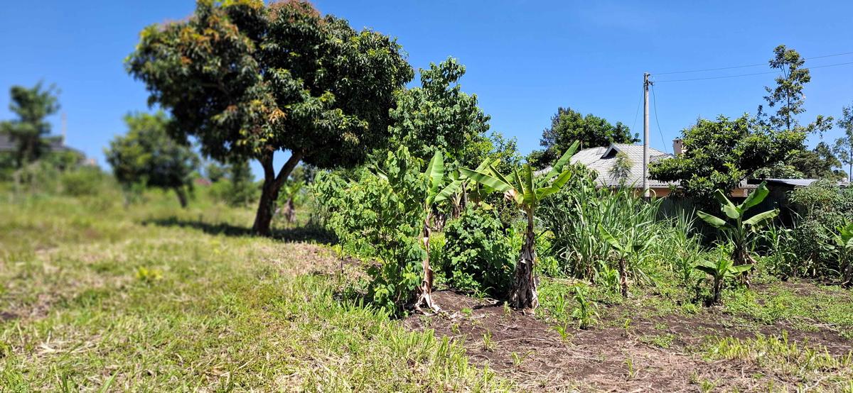 Residential Land at Olkeri - 6