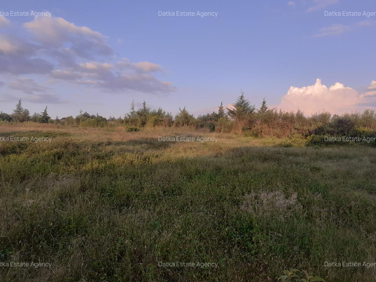 0.5 ac Residential Land in Nanyuki - 8