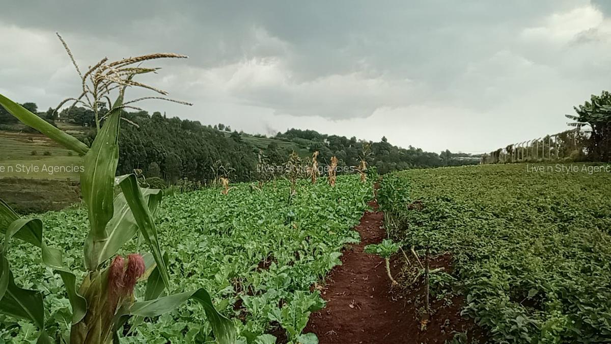 Residential Land in Redhill - 1