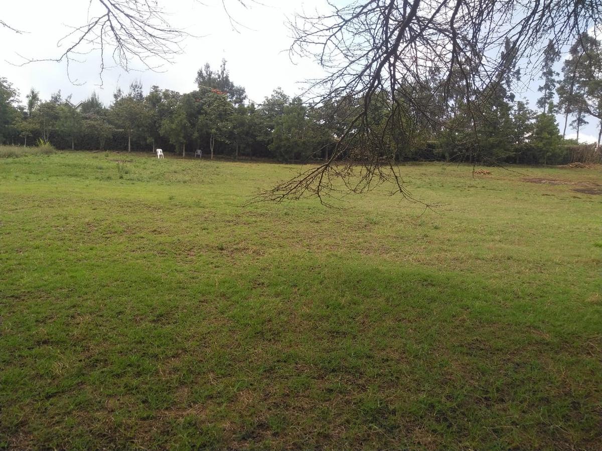 0.25 ac Land in Ngong - 1