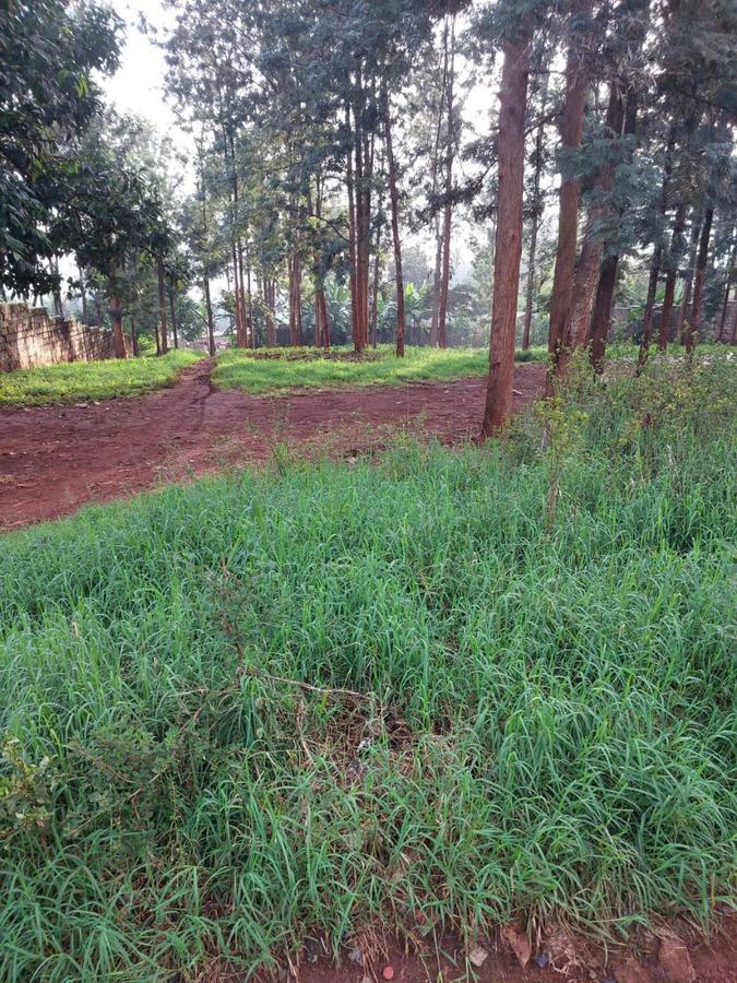 0.75 ac Residential Land at Thindigua - 3