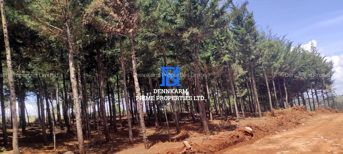 0.05 ha Land at Thigio - 4