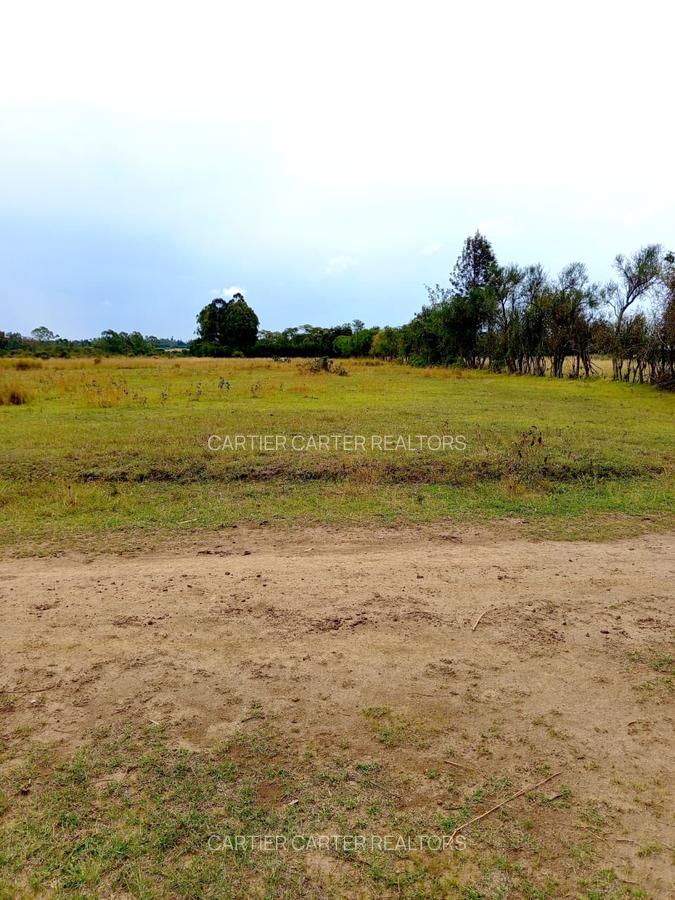 4 ac Land in Nanyuki - 5