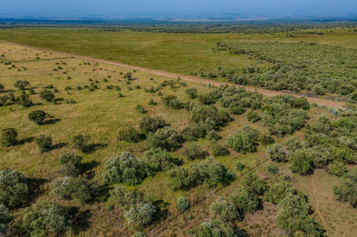 0.8 ac Residential Land at Pana Ranch - 15