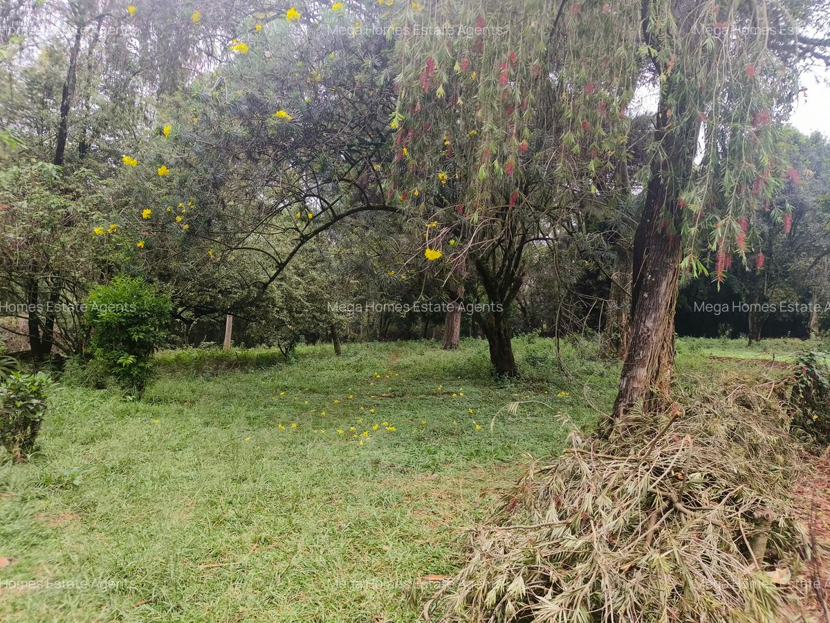 Residential Land in Kitisuru - 4