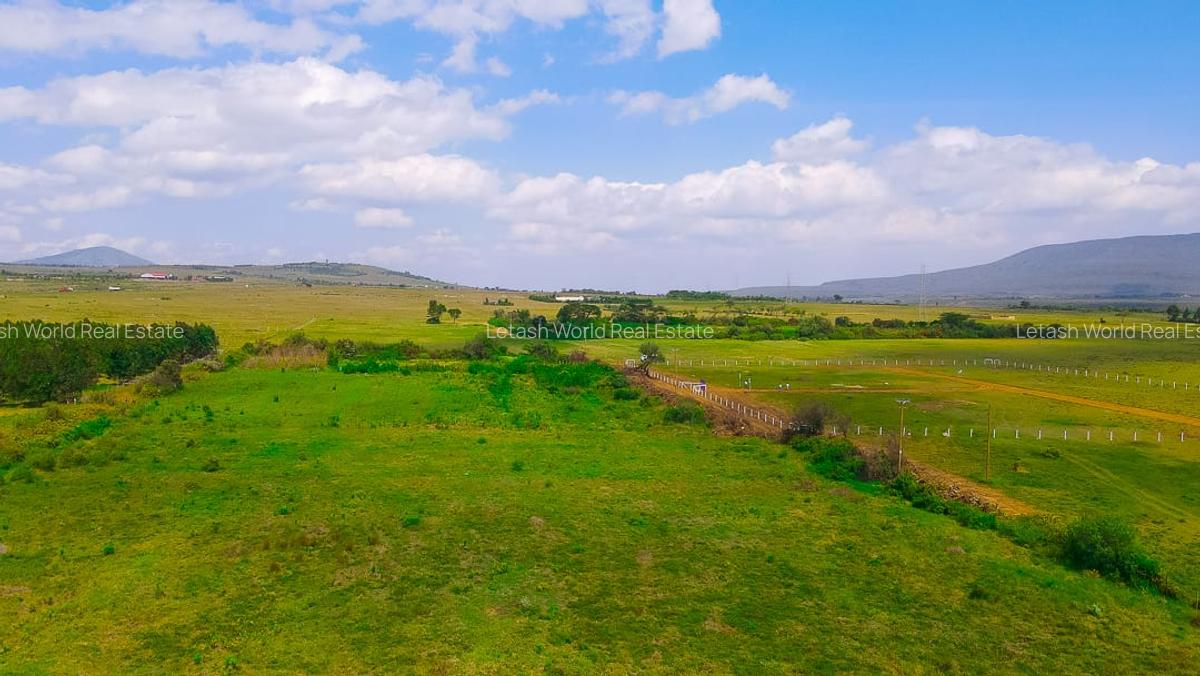 Residential Land in Naivasha - 2
