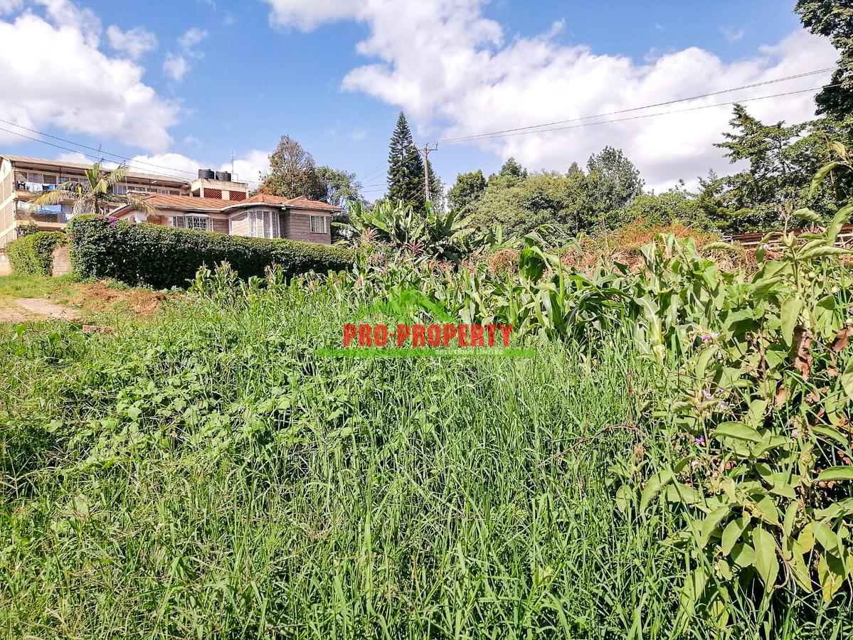 0.125 ac Commercial Land at Kikuyu - 10