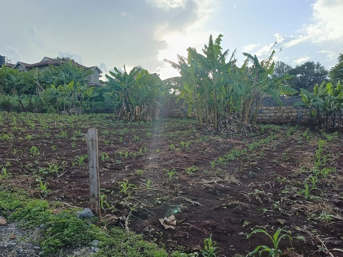 Residential Land at Ruaka - 6