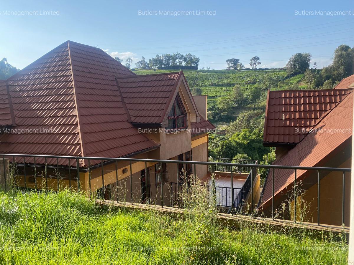 4 Bed Townhouse with En Suite in Redhill - 20