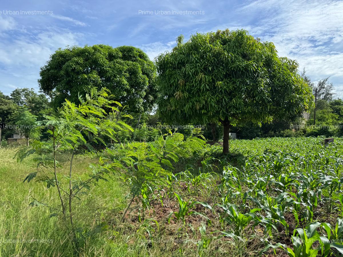 Land in Kikambala - 3