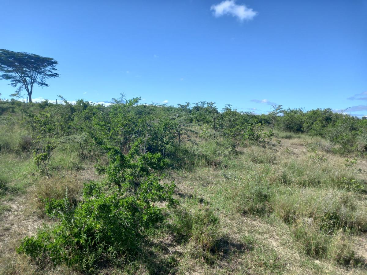 57 ac Land in Nanyuki - 4