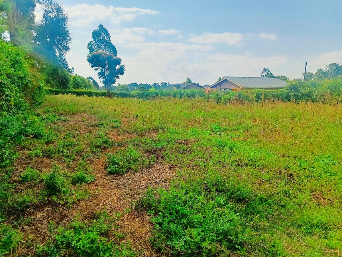 1,000 m² Residential Land at Karie - 5