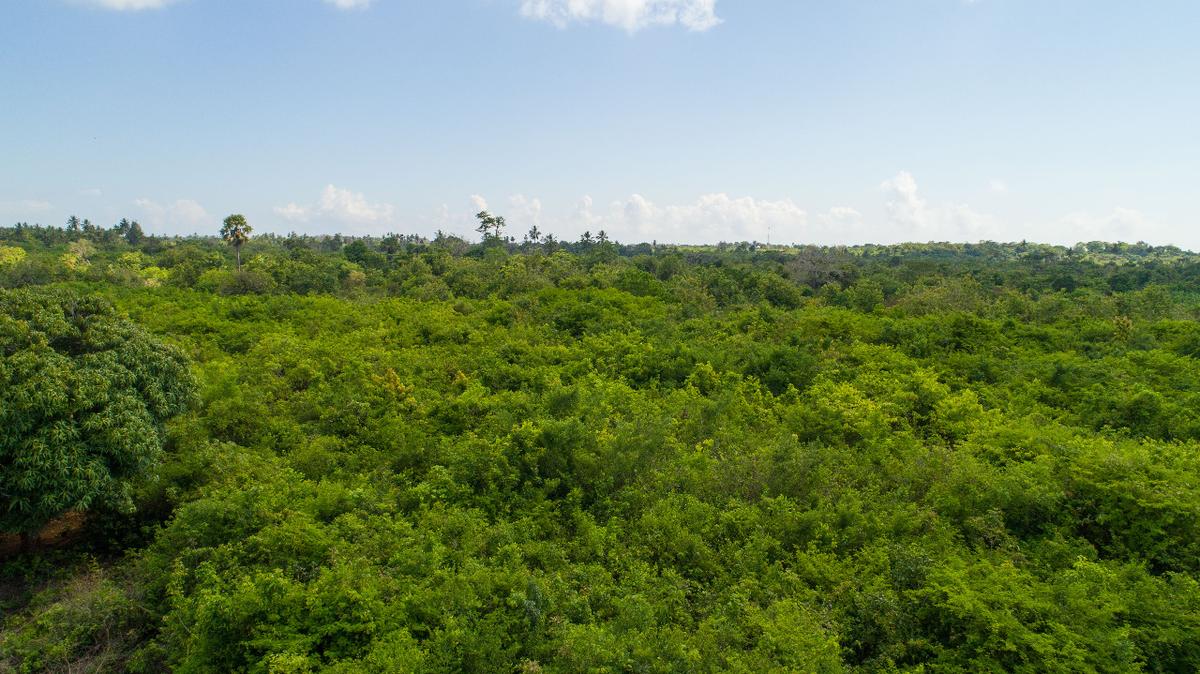 0.25 ac Residential Land at Diani Beach Road - 15