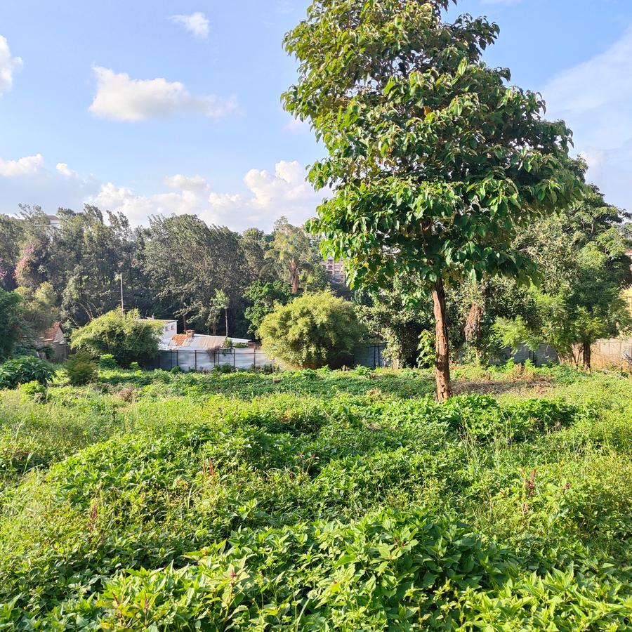 Residential Land at Riara Road - 14