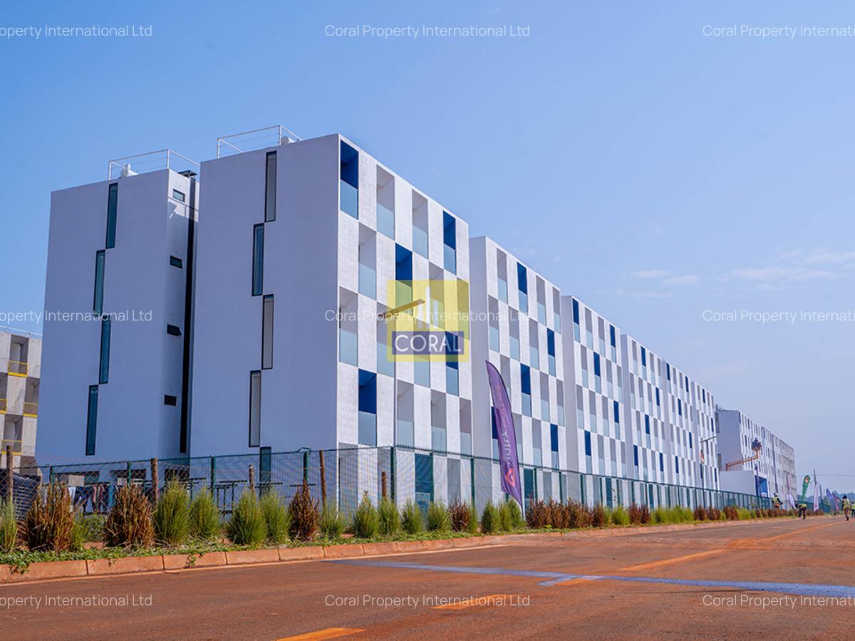 1 Bed Apartment in Tatu City - 20