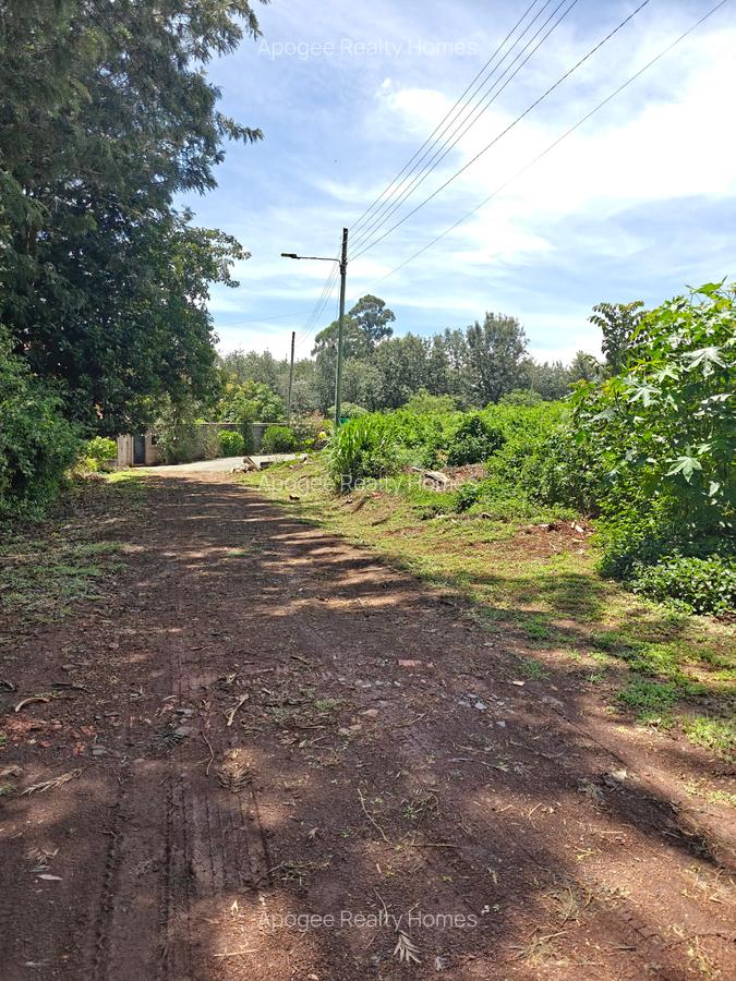 0.5 ac Land at Mushrooms Garden - 14