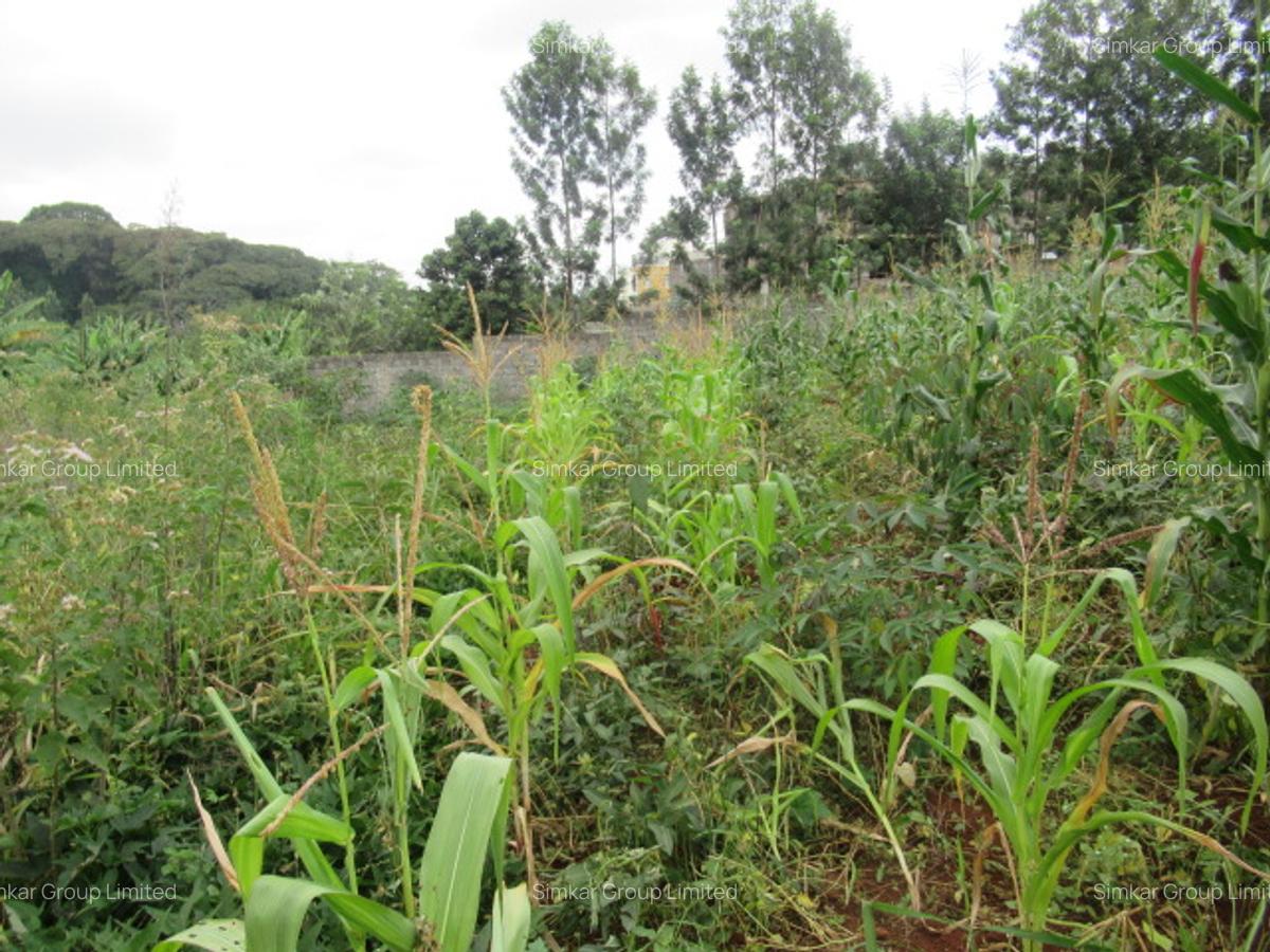 Residential Land at Mushroom Gardens - 6