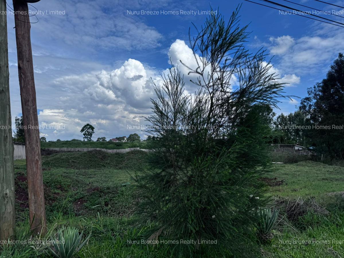 0.5 ac Land in Runda - 6