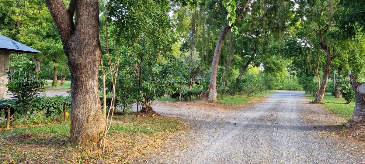 1,000 m² Land at Aloo Drive - 9