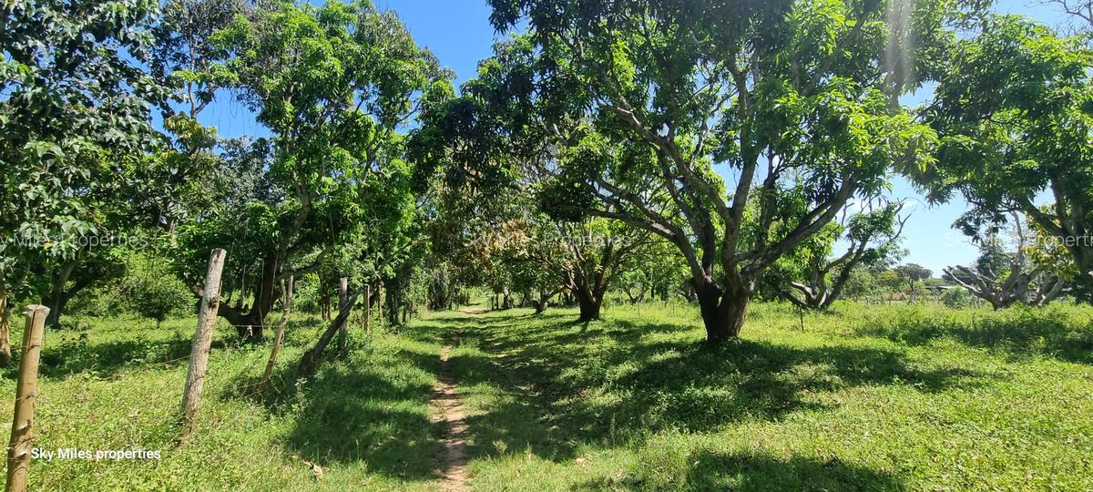 25 ac Land at Mtwapa - 18