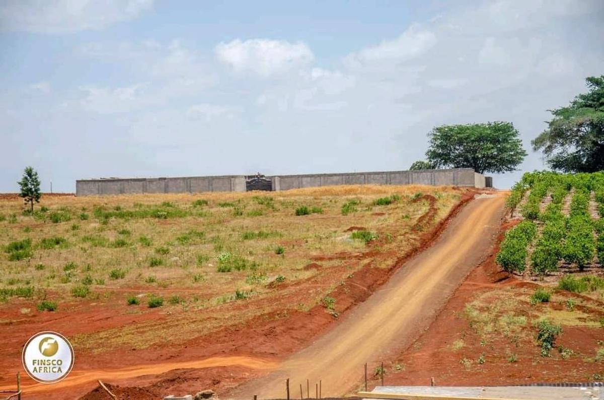 0.125 ac Commercial Land at Next To Tatu City Opposite Nova Pioneer Girls - 5