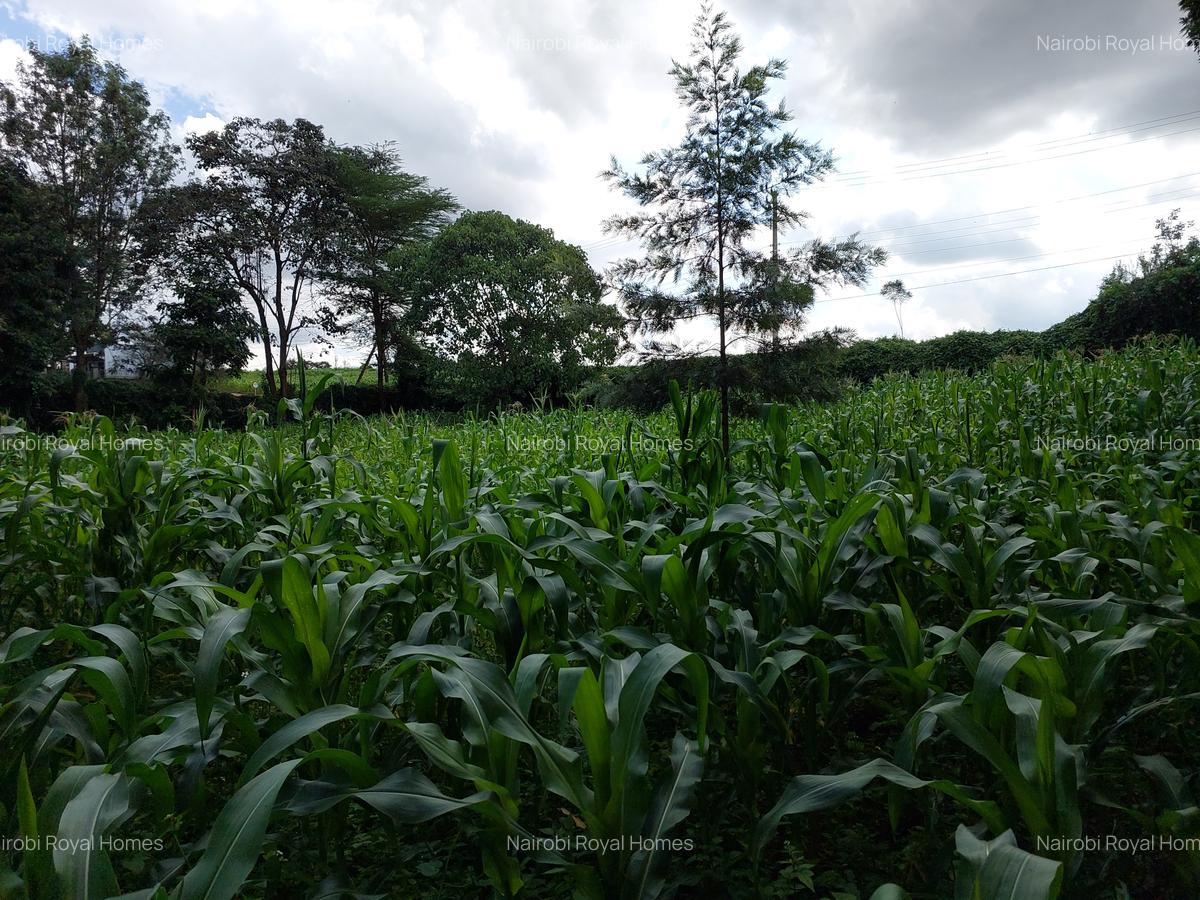 Land at Kirawa Road - 13