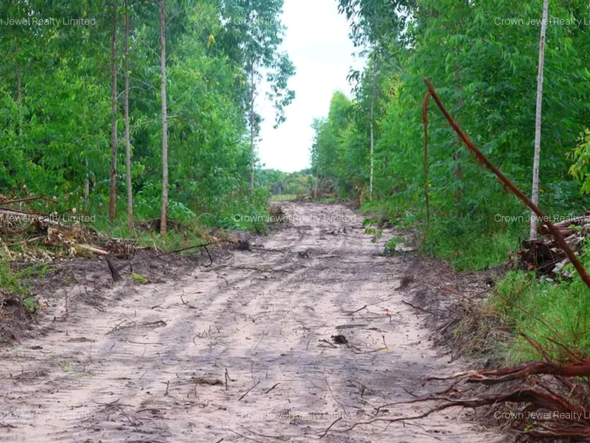 Land in Diani - 5