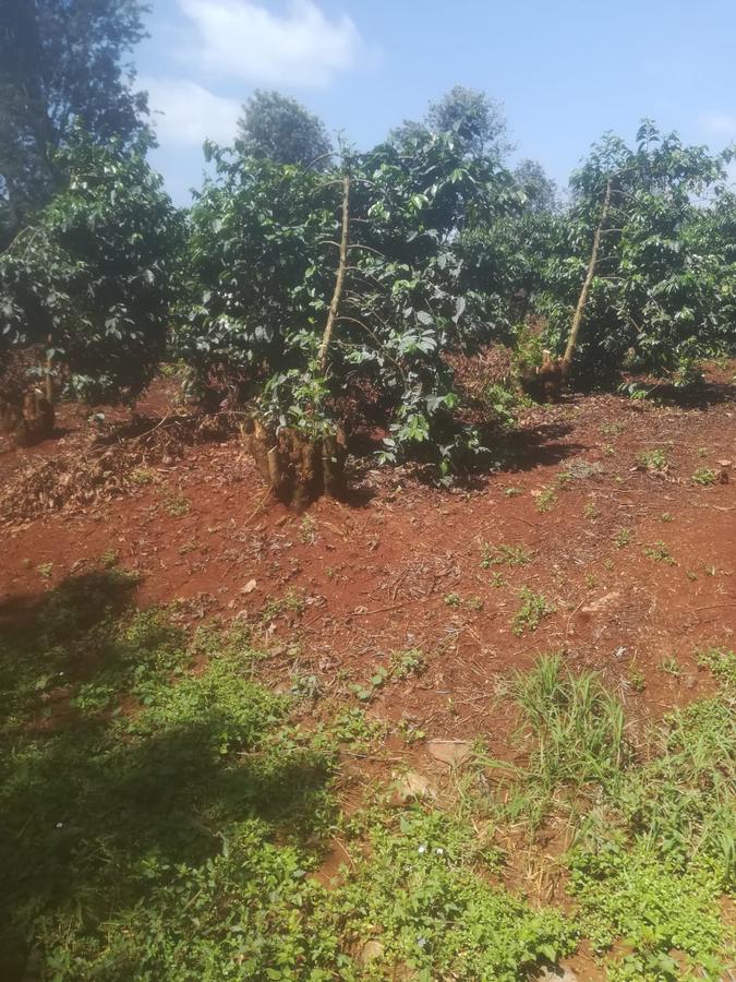 550 ac Land at Kiambu County - 3