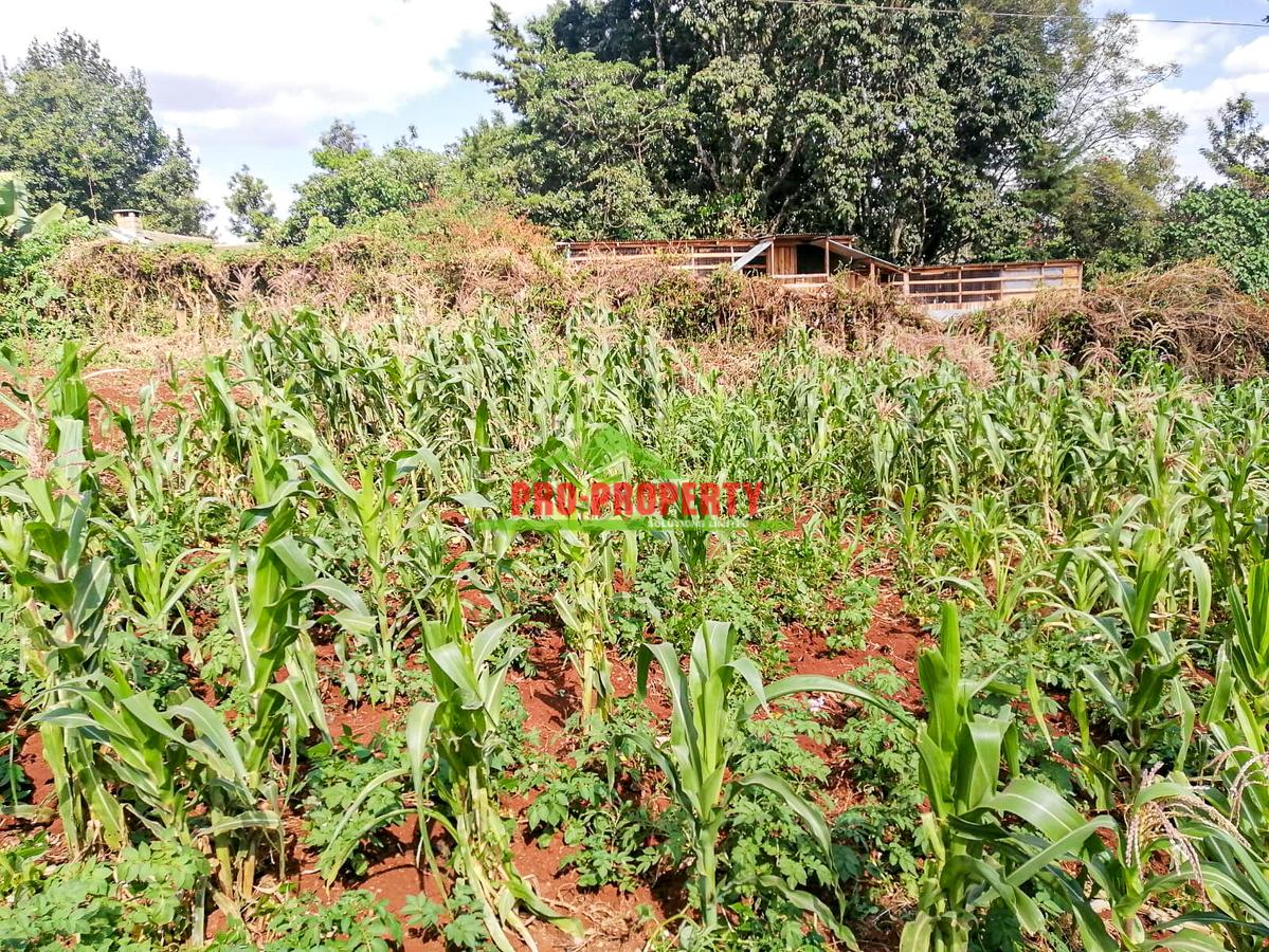 0.125 ac Commercial Land at Kikuyu - 6