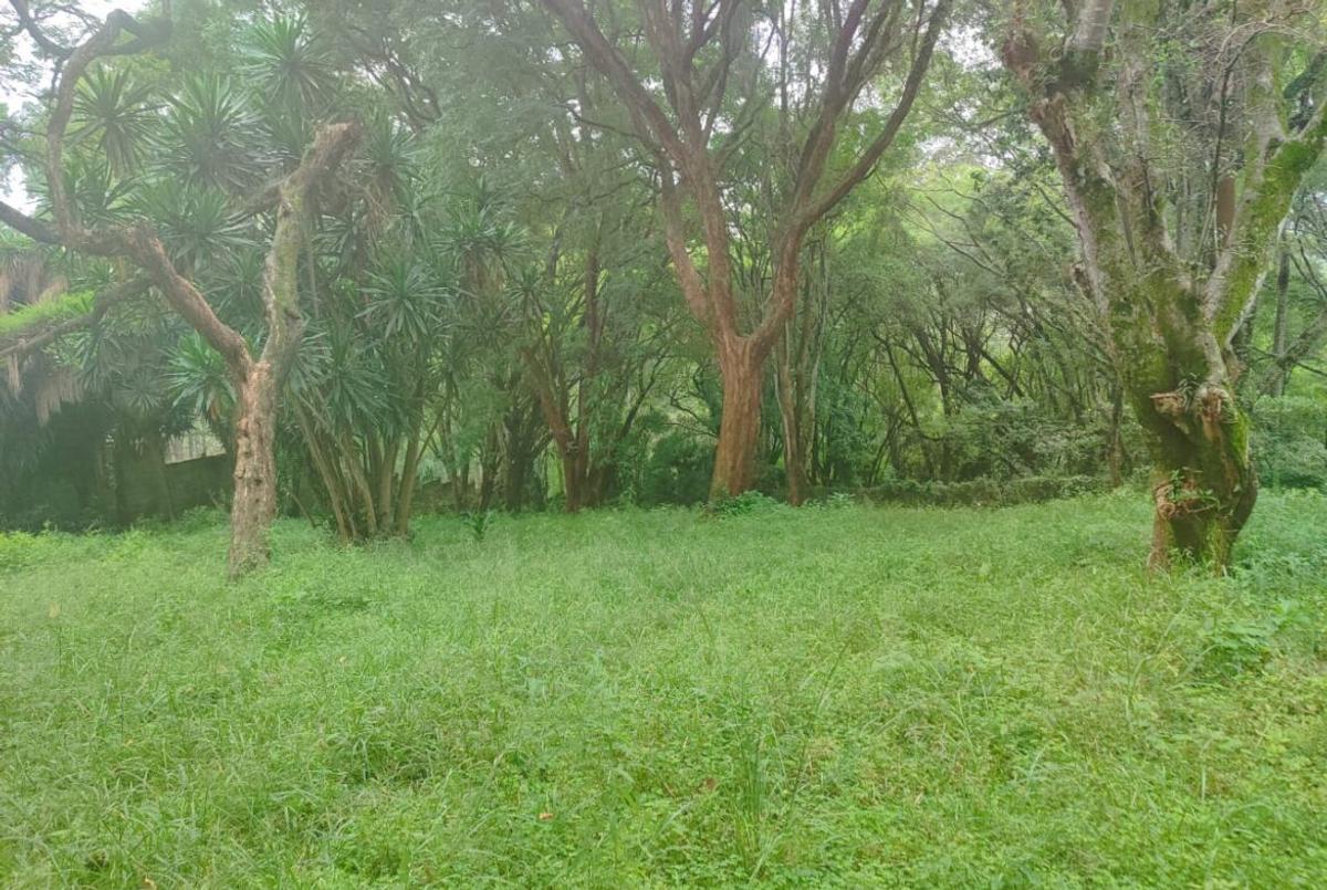 Land at Lower Kabete - 9