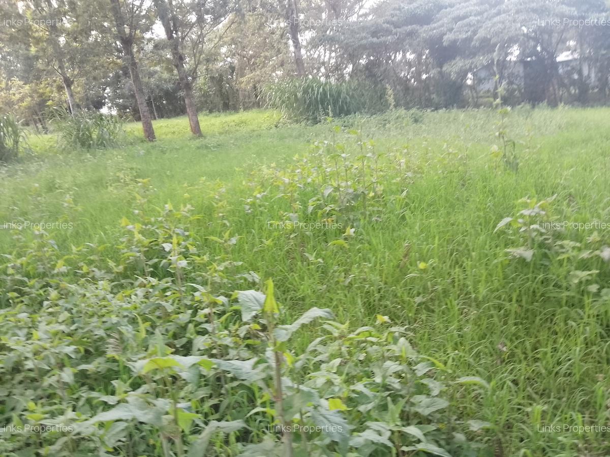 Land at Kibiko Ngong - 14