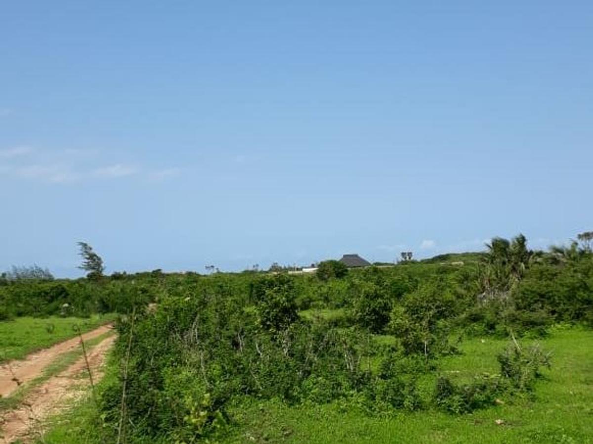 202,350 m² Land in Vipingo - 4