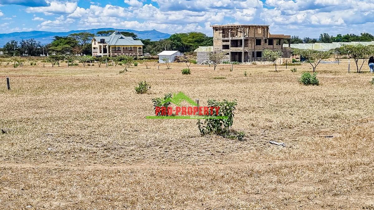 0.05 ha Residential Land in Naivasha - 1