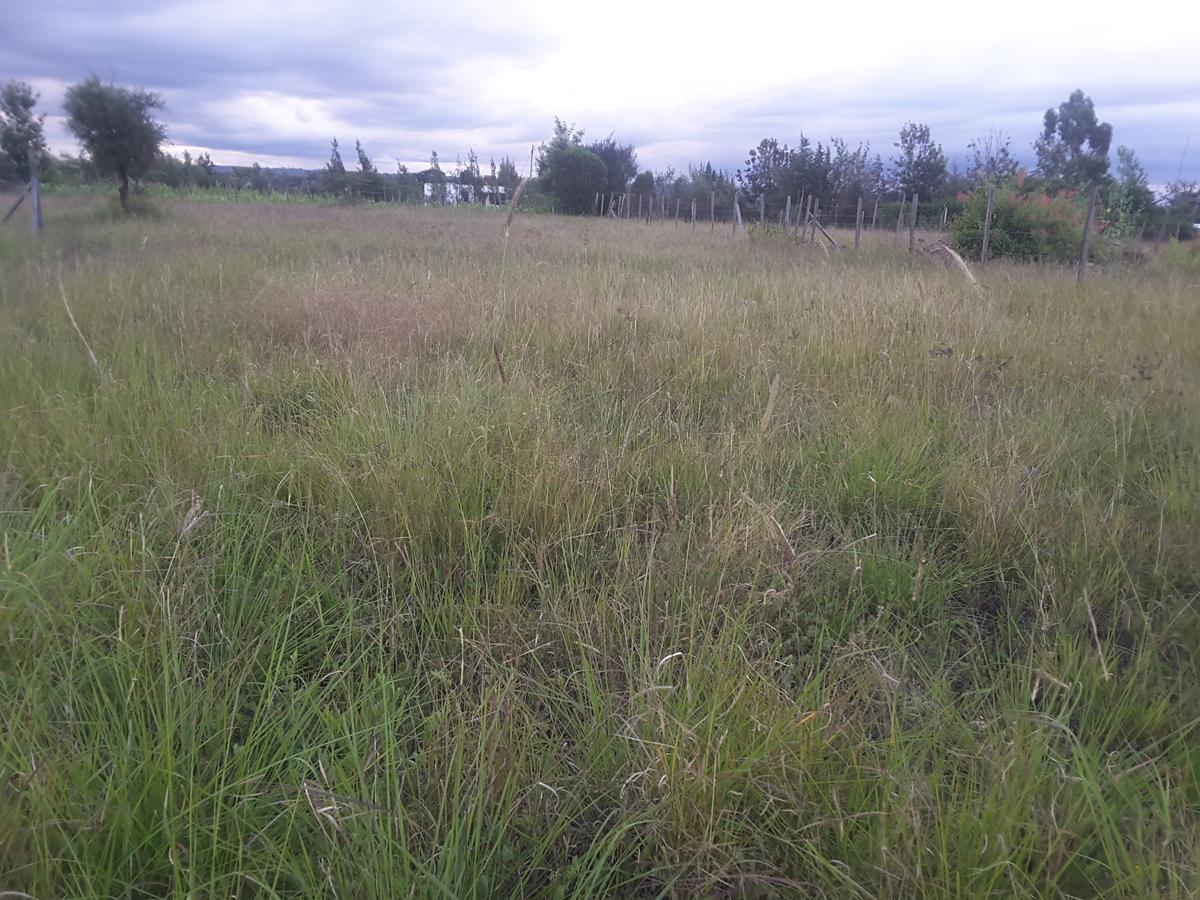 0.113 ac Residential Land in Ongata Rongai - 9