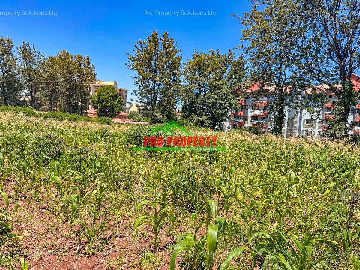 0.1 ha Residential Land at Kenyatta Road - 5