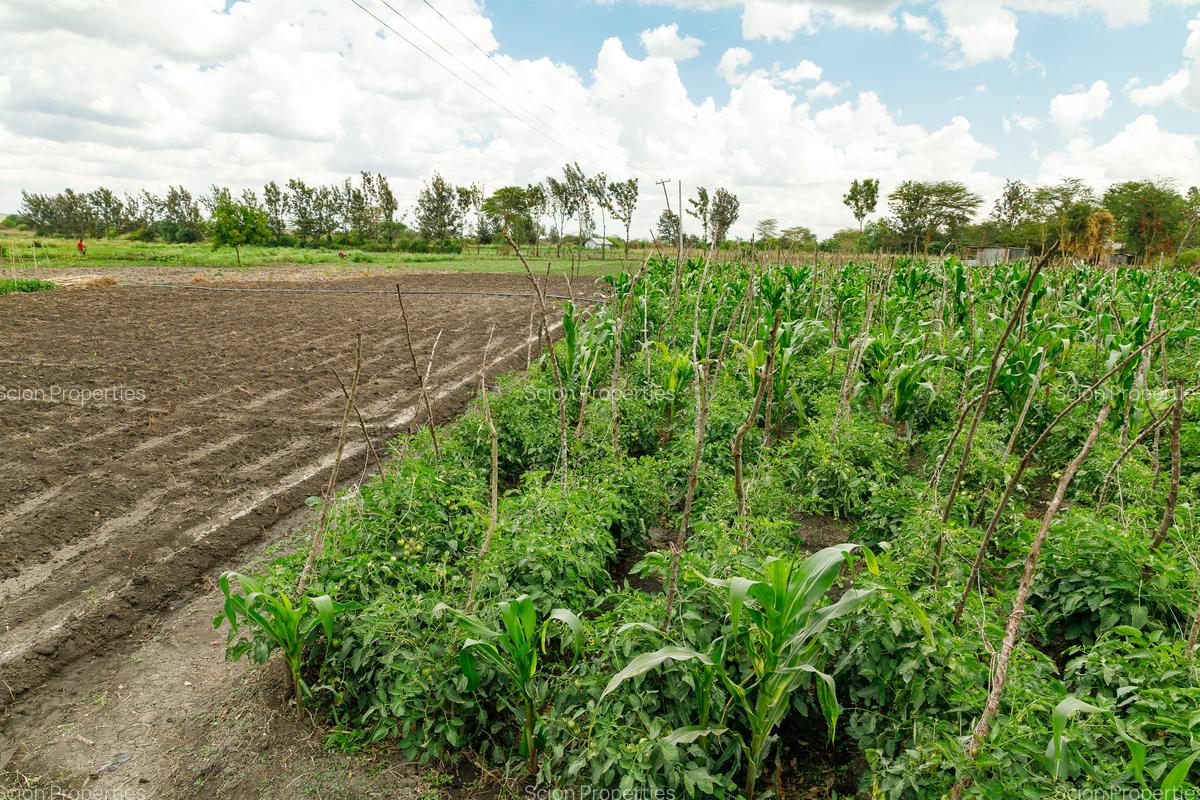 0.125 ac Residential Land in Athi River - 1