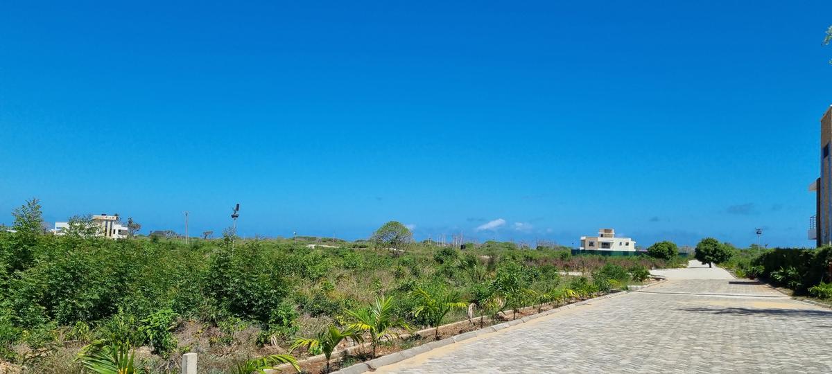 Land at Vipingo - 4