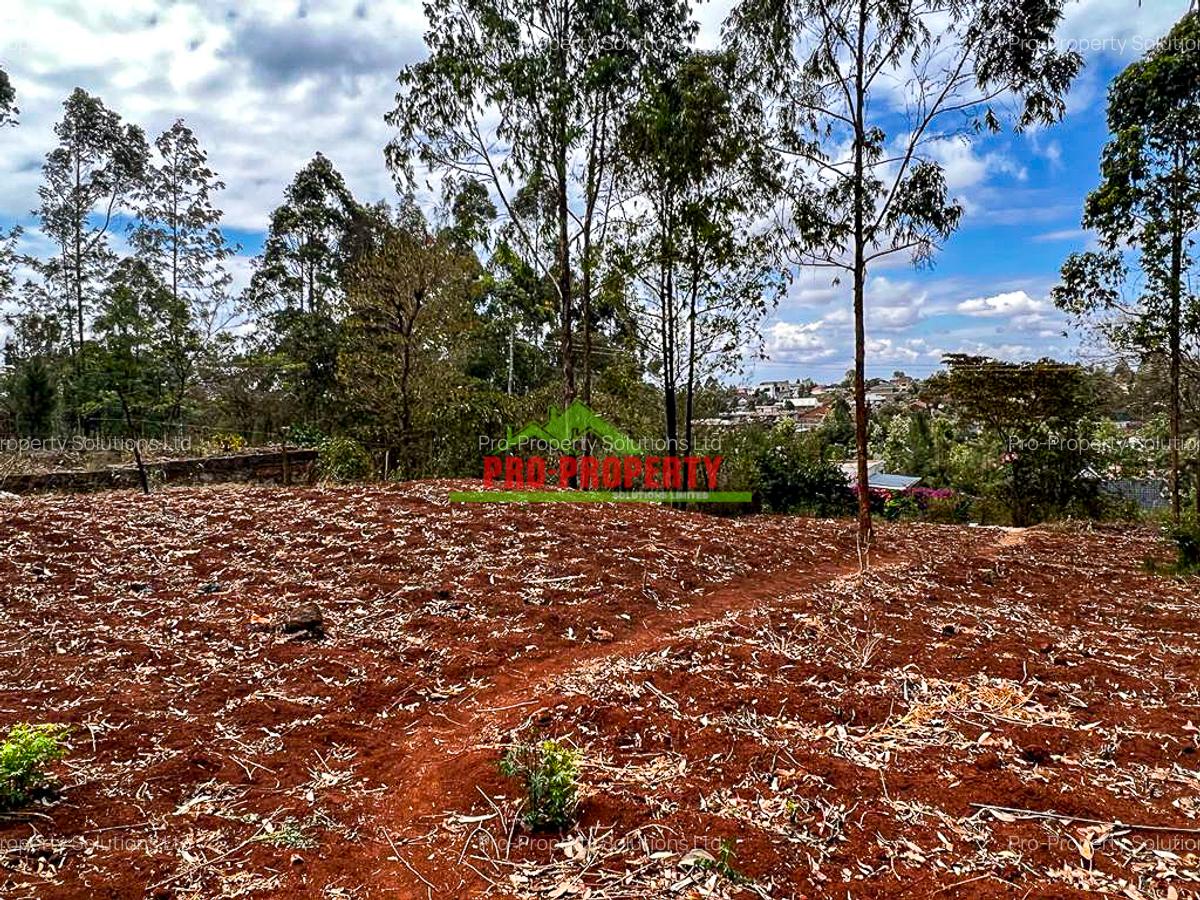 0.05 ha Residential Land in Gikambura - 10