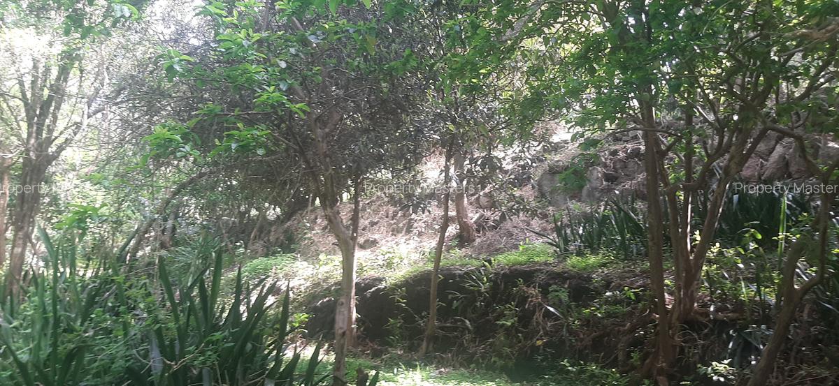 0.75 ac Residential Land at Naivasha Road - 3