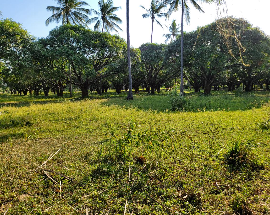 Residential Land in Nyali Area - 16