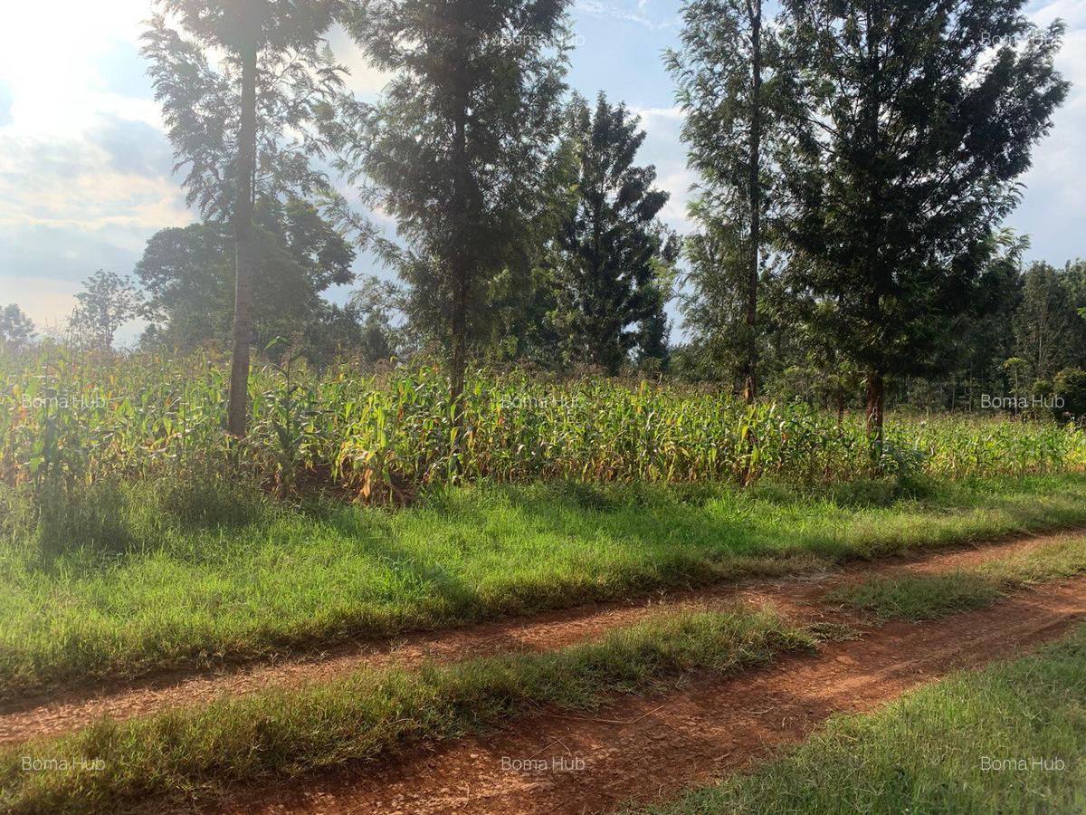 0.5 ac Land at Kiganjo Junction - 2