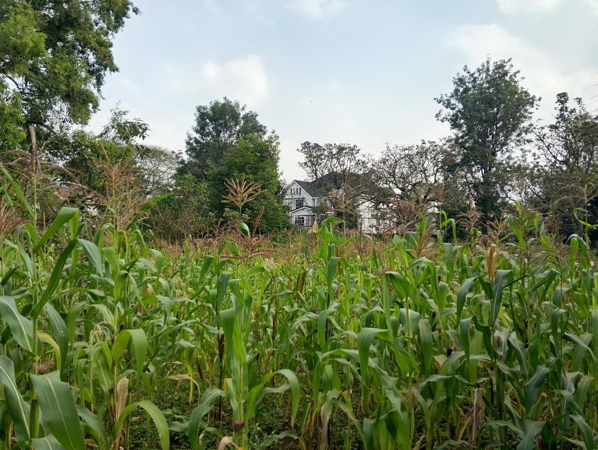 land in runda