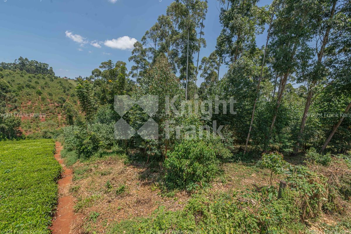 4.8 ac Land in Limuru - 14