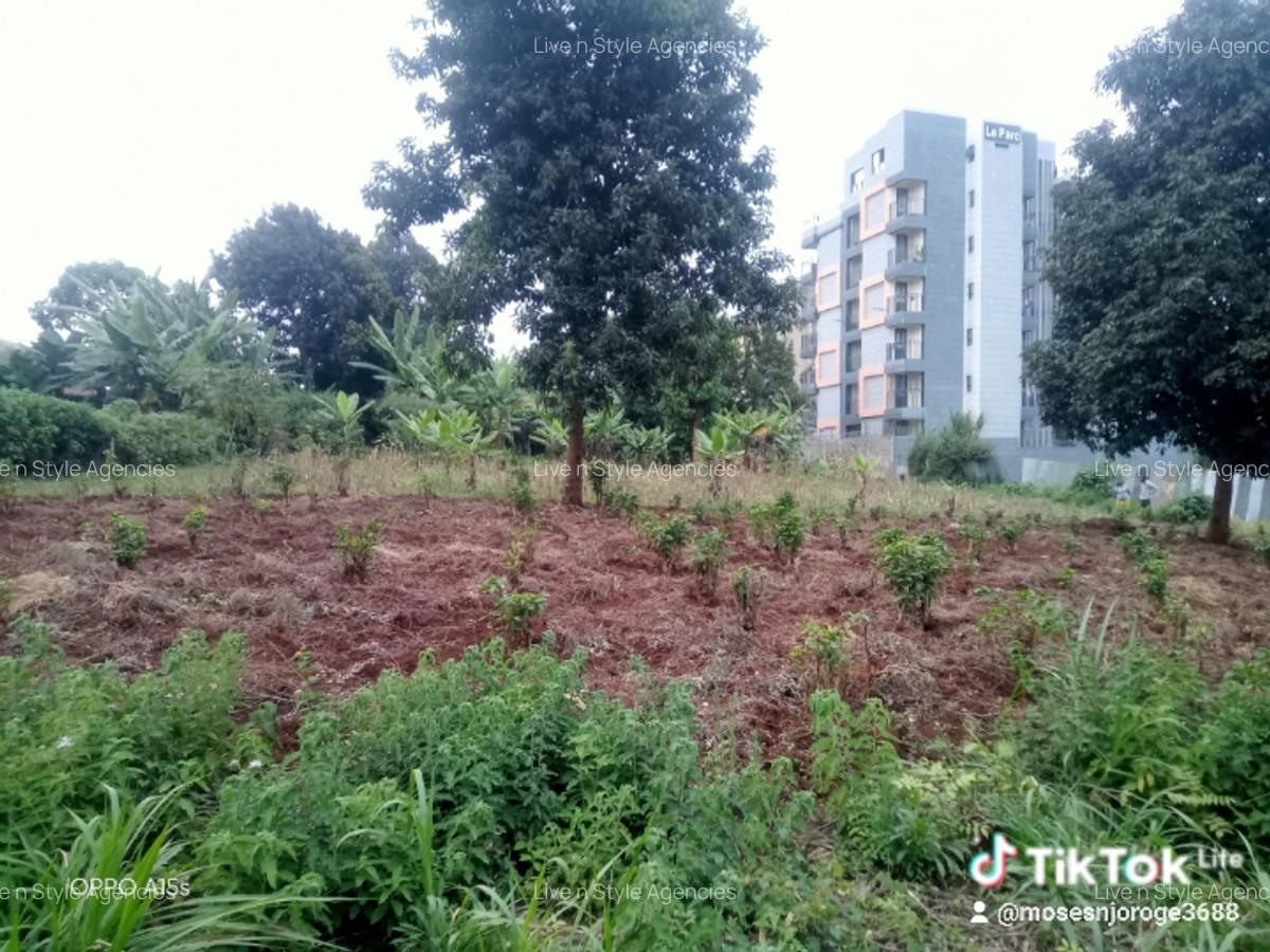 Commercial Land in Ruaka - 2